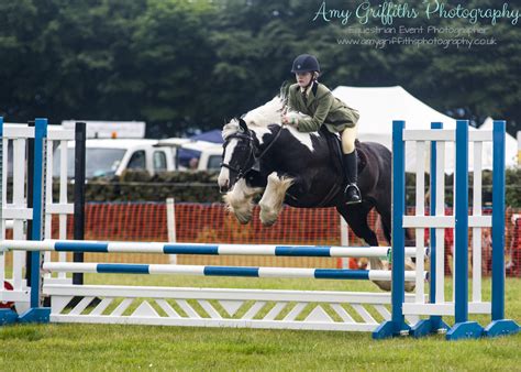 Honley Show 2017