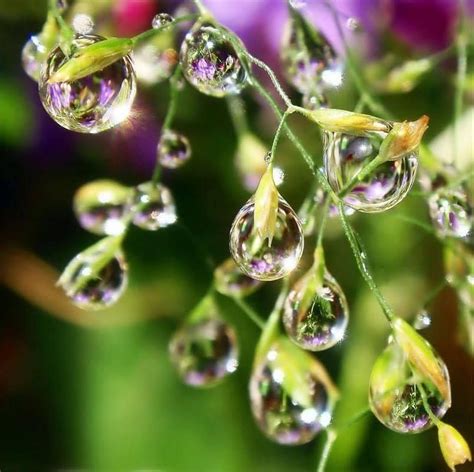 Rain Drops https://www.facebook.com/SimplyBeautifulPage/photos/pcb.1111430025672771 ...