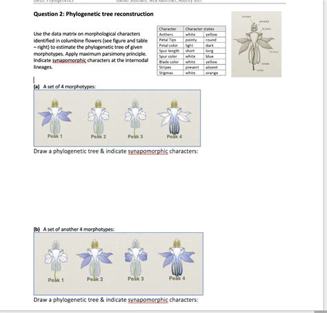 Solved Question 2: Phylogenetic tree reconstruction Use the | Chegg.com