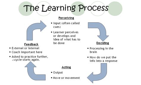 Five Ways to Support the Students in the Learning Process