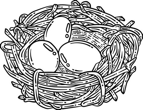 Nest With Eggs Spring Coloring Page for Adults 17197842 Vector Art at ...