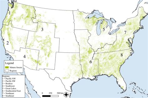 Old-growth forests in the US are key to solving the global climate and biodiversity crises | One ...