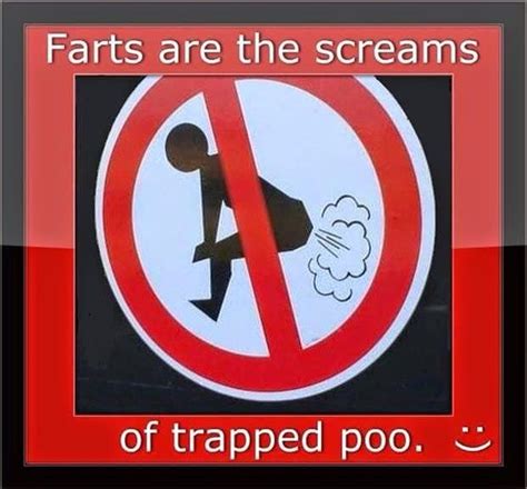 Funny Fart Memes, Gifs, Pics, Jokes, Videos, Stories, Pranks, Quotes | Pictures Or Images