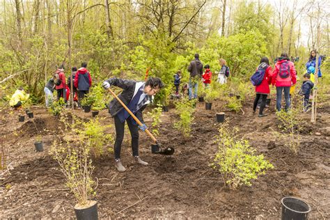 Greening Communities – Tree Canada