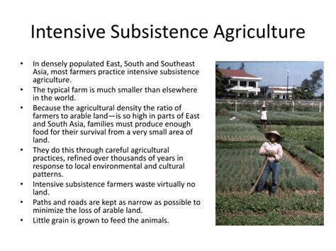 Intensive Subsistence Agriculture