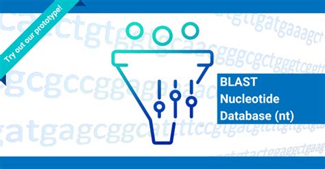 Re-evaluating the BLAST Nucleotide Database (nt) - NCBI Insights