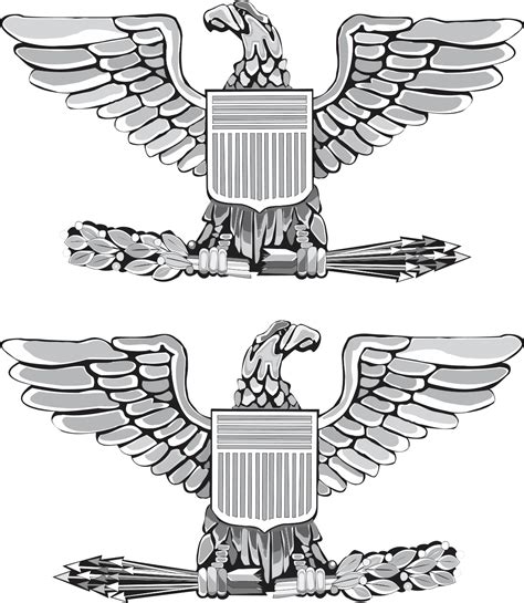 Usmc Colonel Rank Insignia Clipart - Large Size Png Image - PikPng
