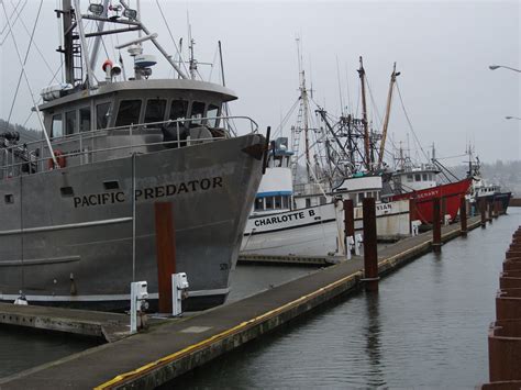 Fishing boats in Astoria, Oregon | Oregon fishing, Cool boats, Boat