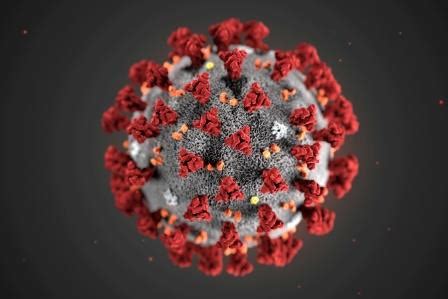 GSK and CEPI to collaborate to develop coronavirus vaccine