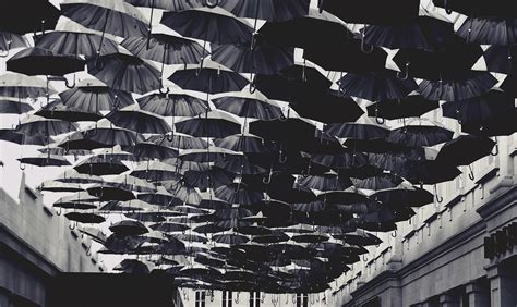 Black Umbrella Lot · Free Stock Photo
