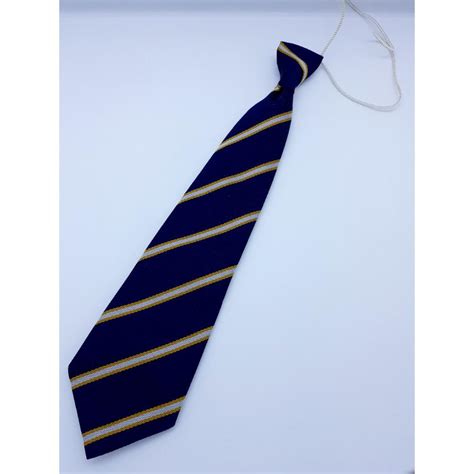 Buy Presentation Primary School Tralee Elastic Neck Tie | Dan Fitzgeralds, Tralee