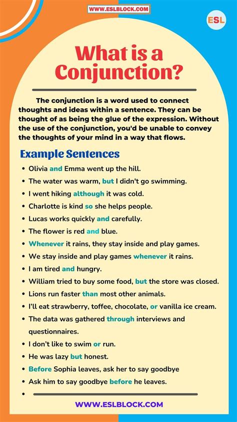 What is a Conjunction in English Grammar? | Conjunctions, Grammar, English lessons