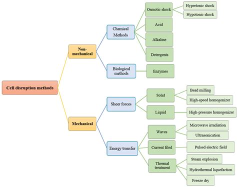 Molecules | Free Full-Text | Recovering Microalgal Bioresources: A ...