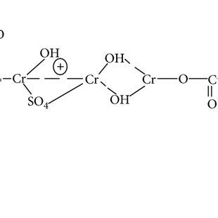 Chemical reaction between cellulose of fiber and Cr2(SO4)3•12(H2O ...