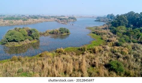 Panoramic Aerial View Yamuna Biodiversity Park Stock Photo 2012845697 ...