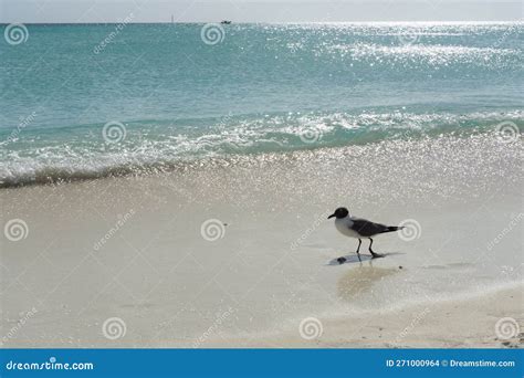 Wonderful Beaches of Los Roques in Venezuela, Los Roques National Park ...