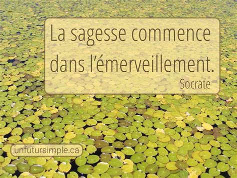 Citation sur la sagesse et 9 autres citations d’inspiration minimaliste