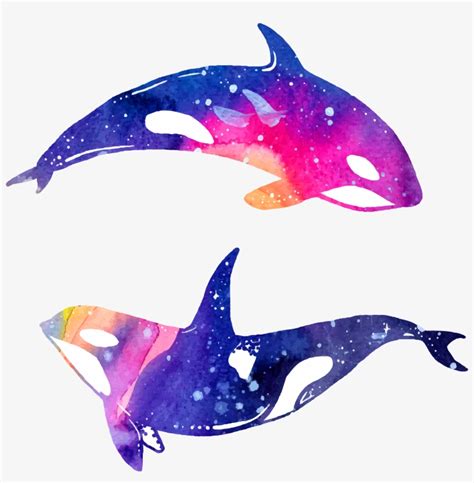 Dolphin Watercolor Painting Illustration - Dolphin Watercolor Png ...