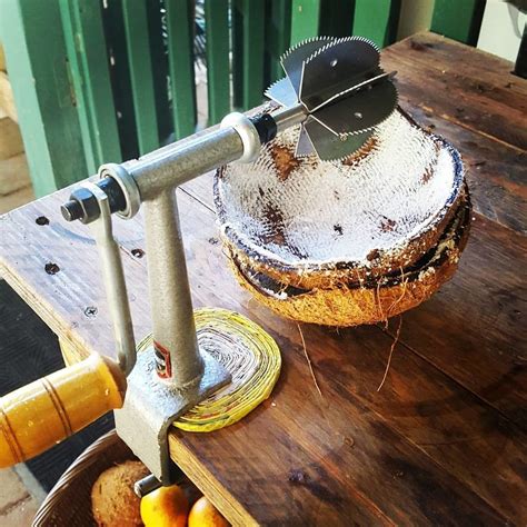 Coconut Grater Coconut Scraper Odiris Bench coconut Shredder | Etsy