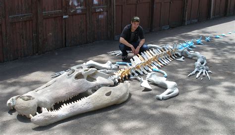 Deinosuchus , 30 foot Crocodilian Skeleton on Behance