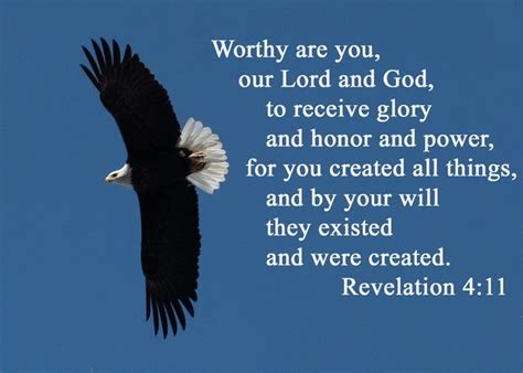 Always Reforming to Scripture: Bald Eagles and the Glory of God