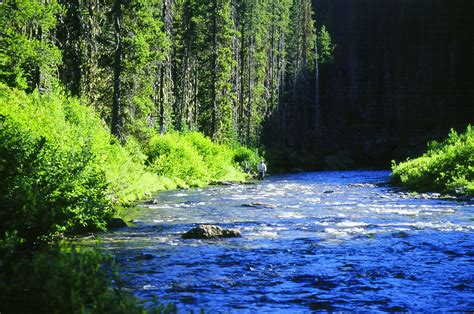 One Day in America: Backpacking the St. Joe River Wilderness