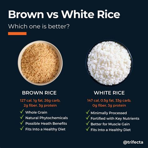 Brown Rice vs White Rice: Which One is Better?