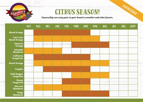 Citrus Season | Sigona's Home Deliveries