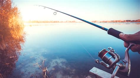 Best Fishing Rod Reviews with Comparison Table🎣 » Fish Finder Reviews