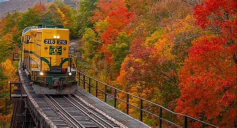 Fall Foliage tours in New England: Here are 5 of the best official tours