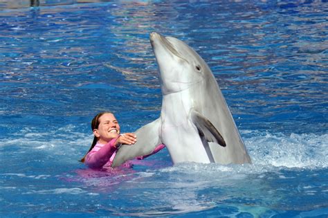 The Not-So-Disney Magical Blog: Blue Horizons - The Complete Dolphins Show at SeaWorld