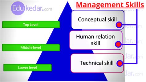 Managerial Skills: Types, Definition, Levels & Examples in Management ...