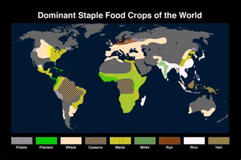 Food and Nutrition || Beehive Mapping