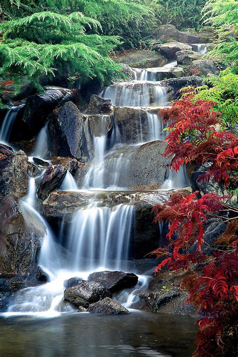 Waterfall in fall, Van Dusen Botanical Gardens | Patrick O'Leary