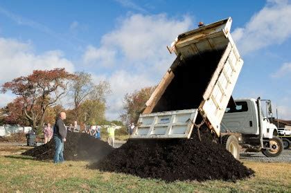 Where To Buy Compost - Tips For Finding The Good Stuff