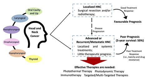 Cancers | Free Full-Text | Current Insights and Progress in the Clinical Management of Head and ...