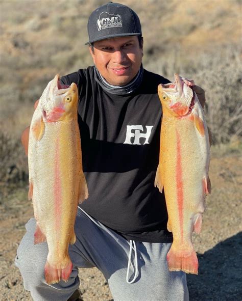 Diamond Valley Lake Fish Report - Hemet, CA (Riverside County)