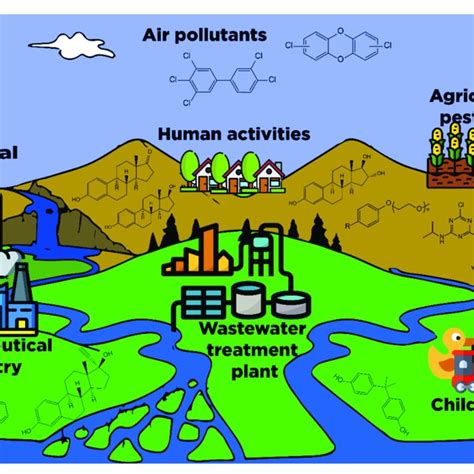Sources of endocrine disruptors in the aquatic compartment. | Download Scientific Diagram