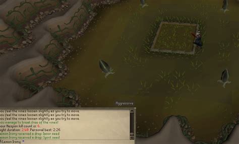 Osrs Hespori Guide - Osrs 1 99 Farming Guide 2021 Fast And Profitable / I will go over ...