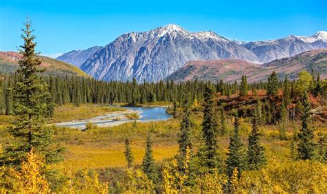 A Guide to Activities & RV Rentals at Denali National Park | RVshare