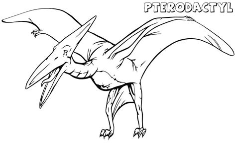 Pterodactyl Coloring Pages - Free Printable Coloring Pages for Kids