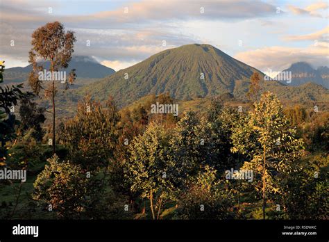 Virunga Mountains, Volcano, Rwanda Stock Photo - Alamy