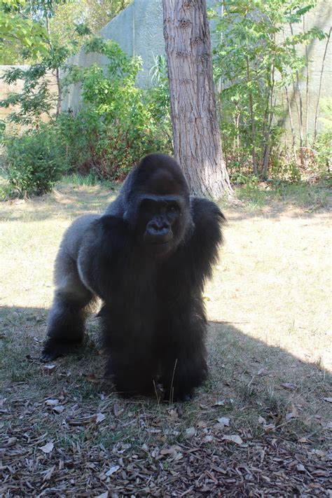 The Beatty Life: The Omaha Zoo