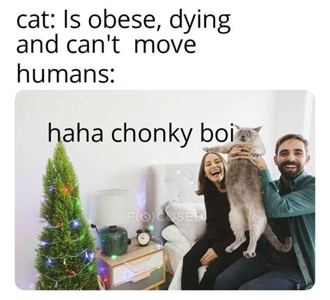 He do be chonky tho | /r/memes | Know Your Meme