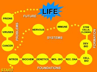 Introductory Biology | Biology | MIT OpenCourseWare