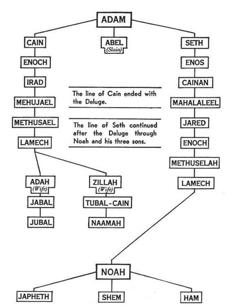 Noah 2022 Adam And Eve