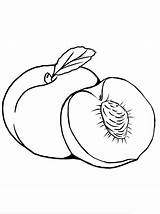 Peach Fruit Coloring Page  Free Printable Pages For Kids sketch template