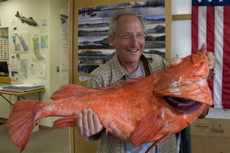 200-year-old rockfish caught off Alaska coast - CSMonitor.com