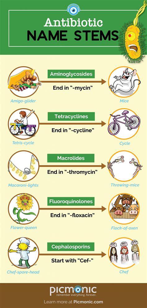 [Infographic] How to Study: Antibiotic Stem Names | Picmonic