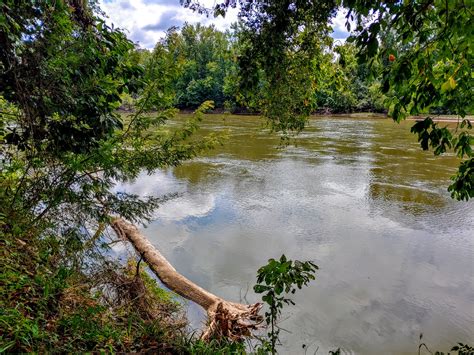 Congaree National Park - Go Wandering